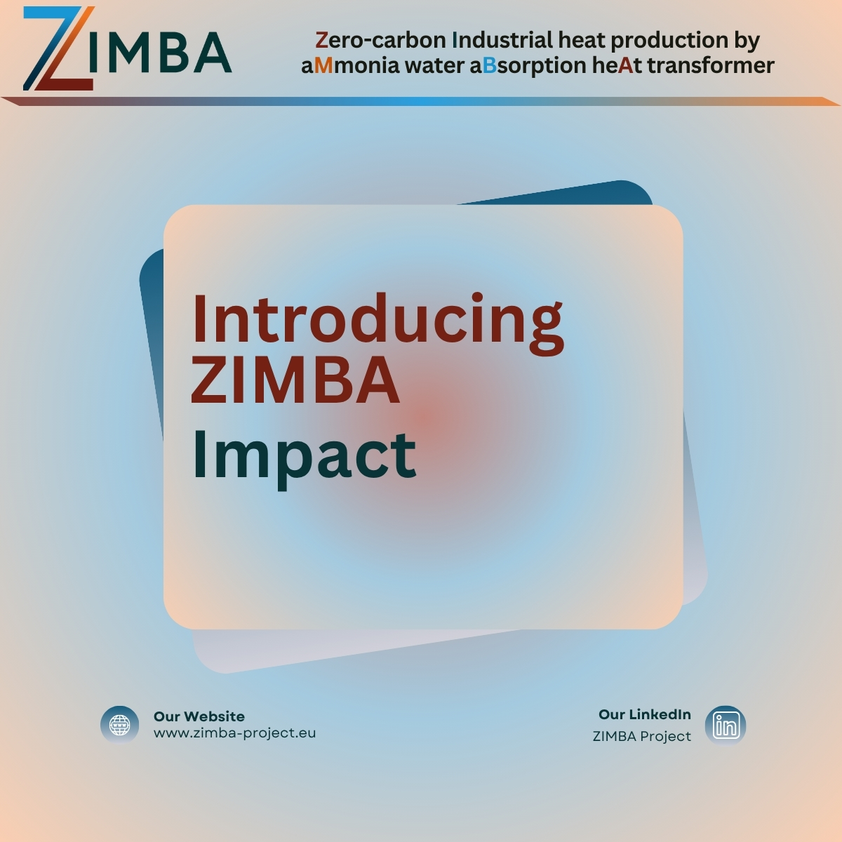 ZIMBA’s Impact in Focus